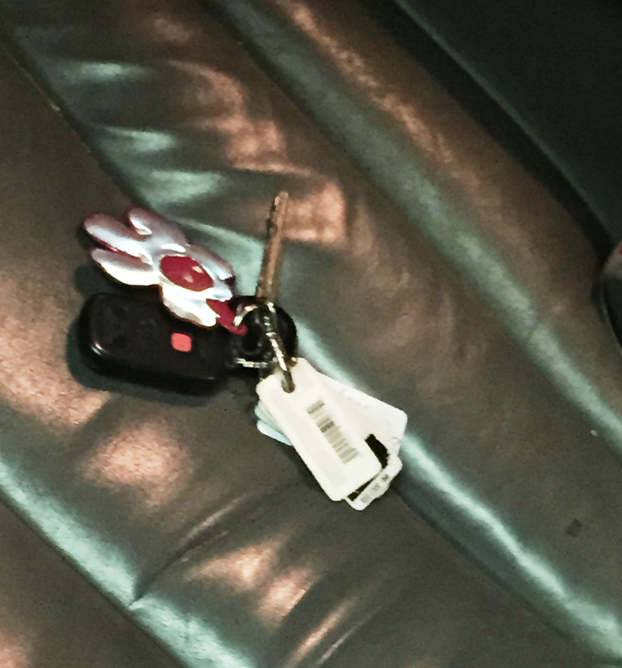 My keys were locked inside the car.jpg