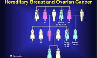 breastandovariancancerchart.jpg